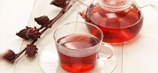 Experimente o Chá de Hibisco Experimente o Chá de Hibisco